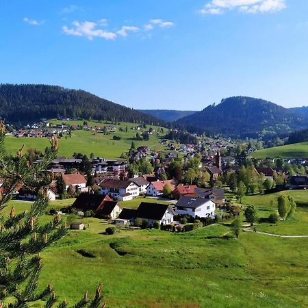 Ferienwohnung, Sauna & Gaestekarte Gratis Im Schwarzwald Baiersbronn Extérieur photo