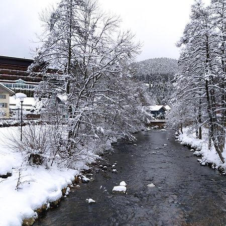 Ferienwohnung, Sauna & Gaestekarte Gratis Im Schwarzwald Baiersbronn Extérieur photo