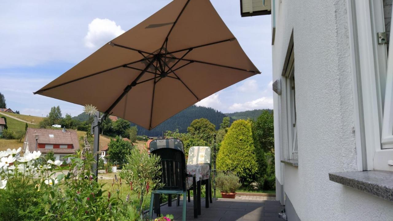 Ferienwohnung, Sauna & Gaestekarte Gratis Im Schwarzwald Baiersbronn Extérieur photo