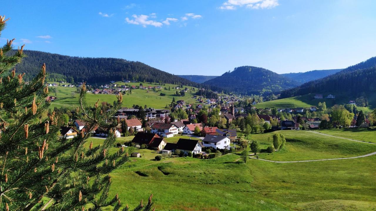 Ferienwohnung, Sauna & Gaestekarte Gratis Im Schwarzwald Baiersbronn Extérieur photo