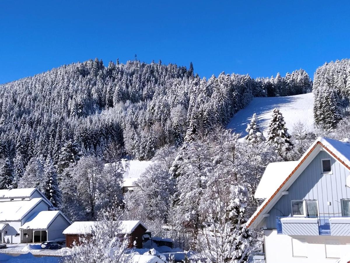 Ferienwohnung, Sauna & Gaestekarte Gratis Im Schwarzwald Baiersbronn Extérieur photo