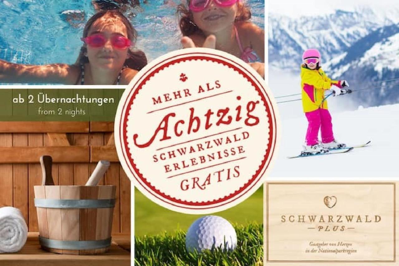 Ferienwohnung, Sauna & Gaestekarte Gratis Im Schwarzwald Baiersbronn Extérieur photo