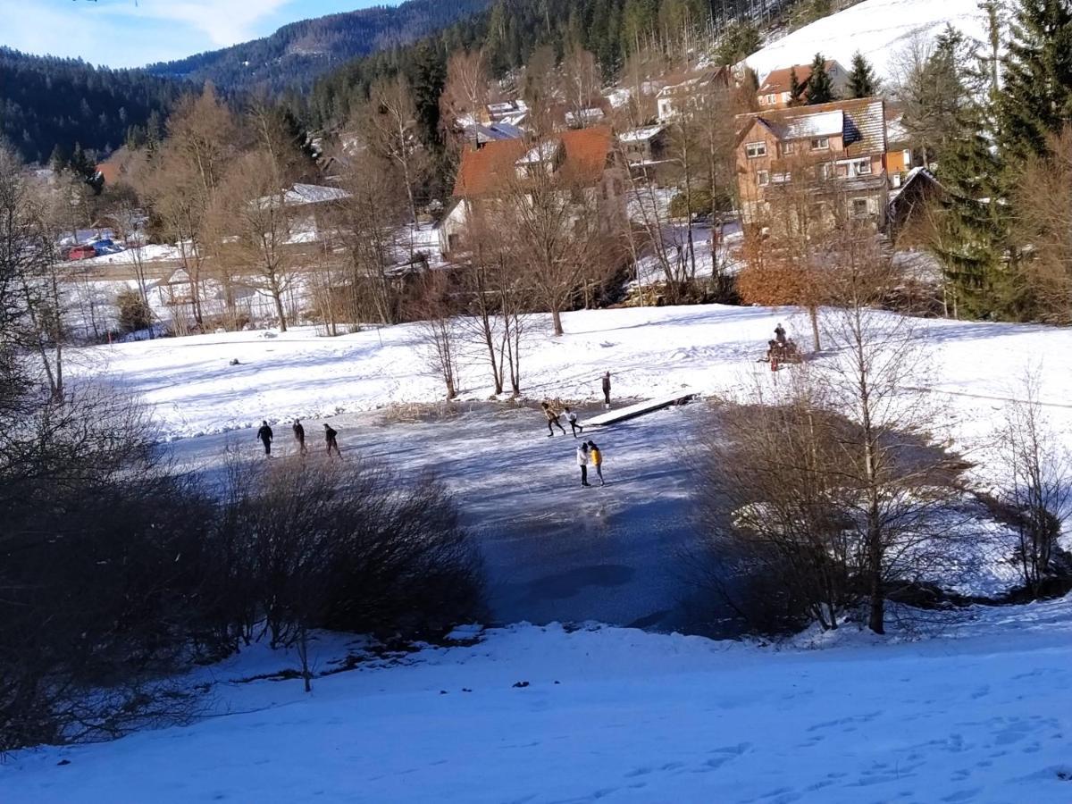 Ferienwohnung, Sauna & Gaestekarte Gratis Im Schwarzwald Baiersbronn Extérieur photo