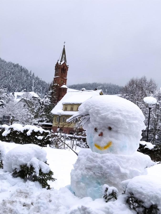 Ferienwohnung, Sauna & Gaestekarte Gratis Im Schwarzwald Baiersbronn Extérieur photo