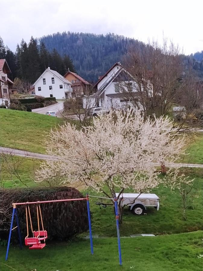 Ferienwohnung, Sauna & Gaestekarte Gratis Im Schwarzwald Baiersbronn Extérieur photo