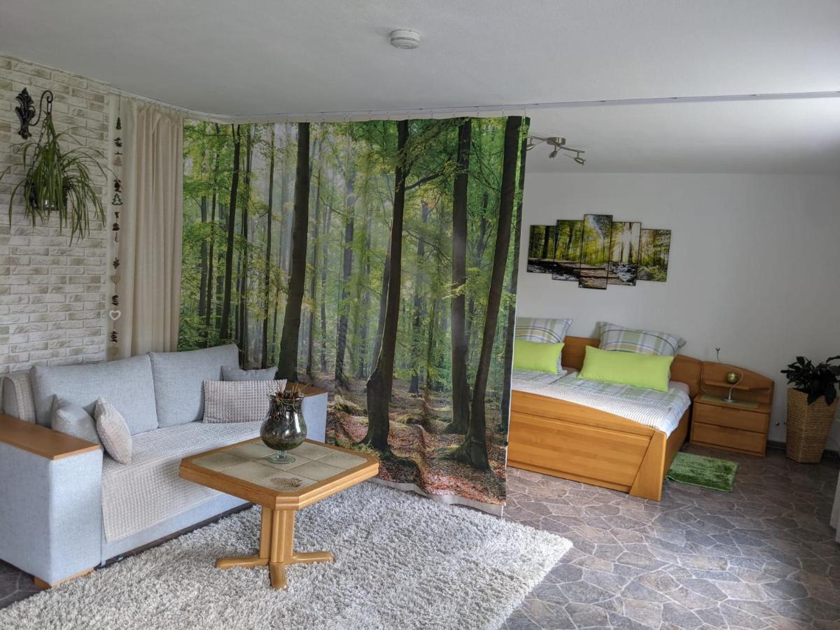 Ferienwohnung, Sauna & Gaestekarte Gratis Im Schwarzwald Baiersbronn Extérieur photo